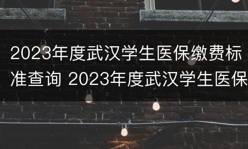 2023年度武汉学生医保缴费标准查询 2023年度武汉学生医保缴费标准查询表