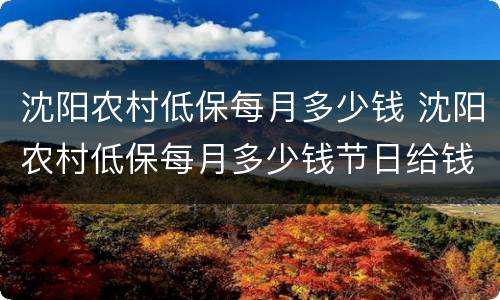 沈阳农村低保每月多少钱 沈阳农村低保每月多少钱节日给钱吗