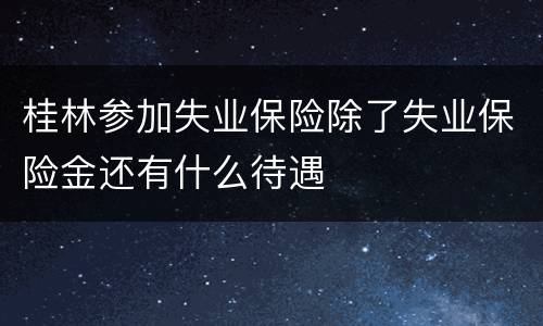 桂林参加失业保险除了失业保险金还有什么待遇