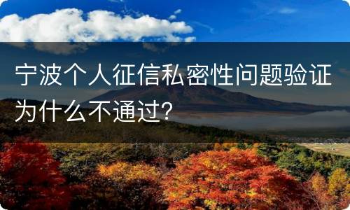 宁波个人征信私密性问题验证为什么不通过？