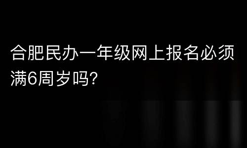 合肥民办一年级网上报名必须满6周岁吗？