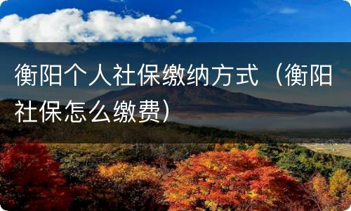 衡阳个人社保缴纳方式（衡阳社保怎么缴费）