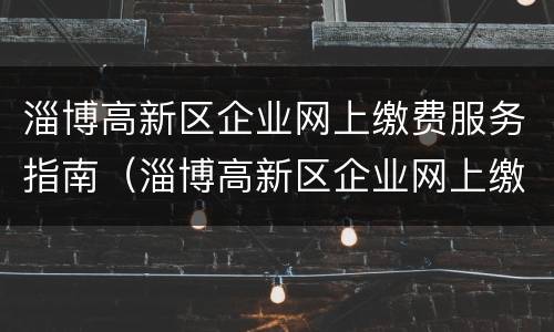 淄博高新区企业网上缴费服务指南（淄博高新区企业网上缴费服务指南查询）