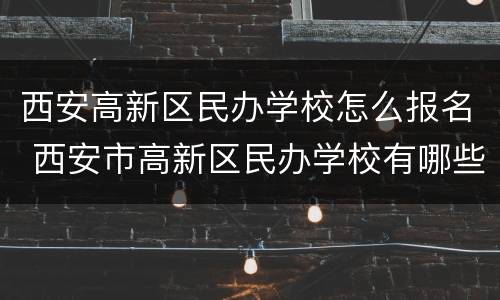 西安高新区民办学校怎么报名 西安市高新区民办学校有哪些