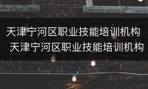 天津宁河区职业技能培训机构 天津宁河区职业技能培训机构名单