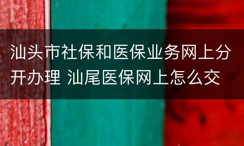 汕头市社保和医保业务网上分开办理 汕尾医保网上怎么交