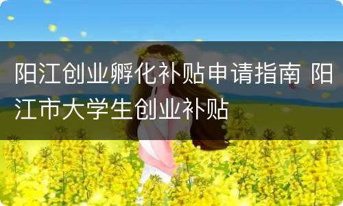 阳江创业孵化补贴申请指南 阳江市大学生创业补贴