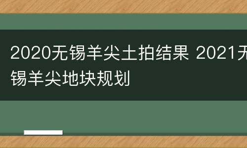 2020无锡羊尖土拍结果 2021无锡羊尖地块规划