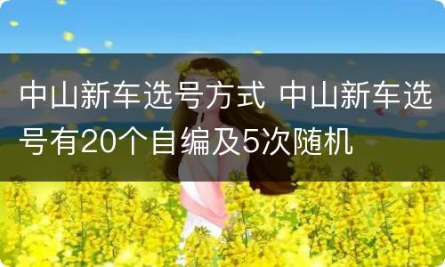中山新车选号方式 中山新车选号有20个自编及5次随机