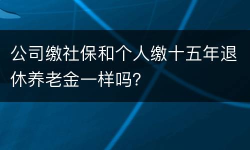 公司缴社保和个人缴十五年退休养老金一样吗？