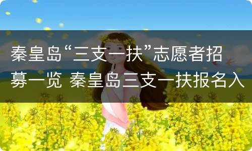 秦皇岛“三支一扶”志愿者招募一览 秦皇岛三支一扶报名入口官网