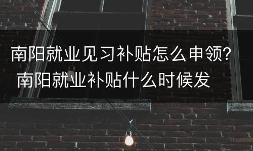 南阳就业见习补贴怎么申领？ 南阳就业补贴什么时候发