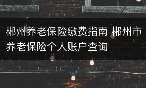 郴州养老保险缴费指南 郴州市养老保险个人账户查询
