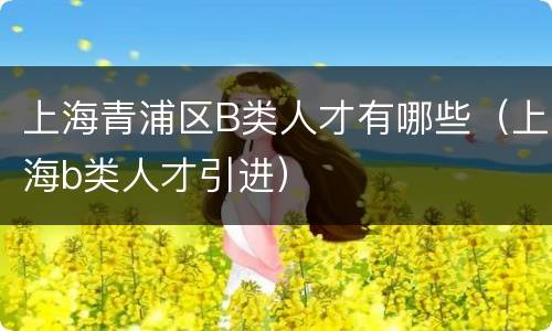 上海青浦区B类人才有哪些（上海b类人才引进）