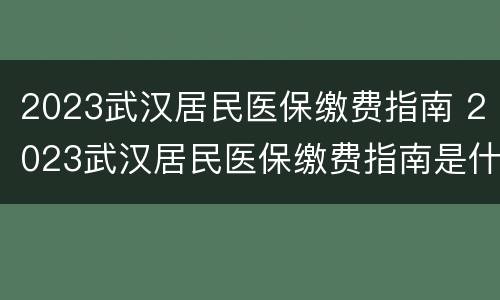 2023武汉居民医保缴费指南 2023武汉居民医保缴费指南是什么