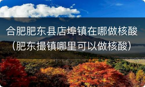 合肥肥东县店埠镇在哪做核酸（肥东撮镇哪里可以做核酸）