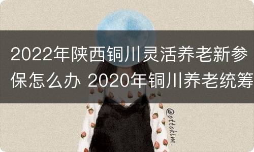 2022年陕西铜川灵活养老新参保怎么办 2020年铜川养老统筹最新政策