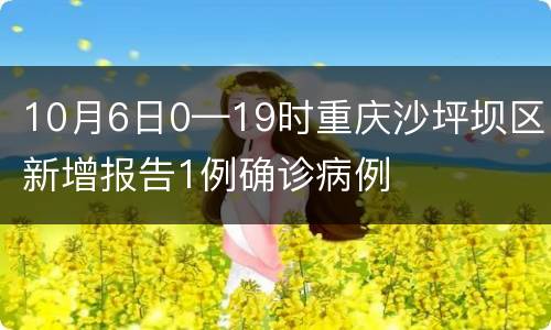 10月6日0—19时重庆沙坪坝区新增报告1例确诊病例