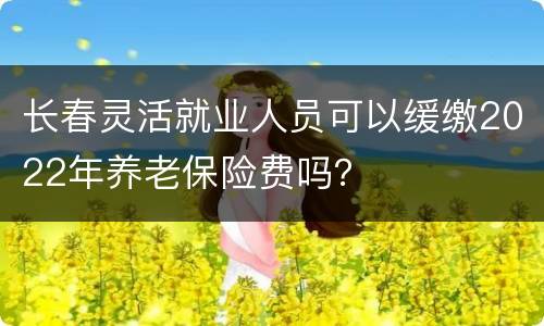 长春灵活就业人员可以缓缴2022年养老保险费吗？