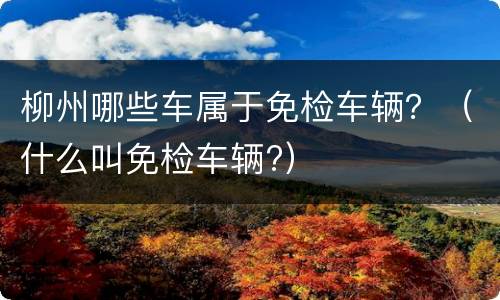 柳州哪些车属于免检车辆？（什么叫免检车辆?）