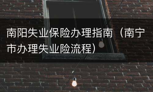 南阳失业保险办理指南（南宁市办理失业险流程）