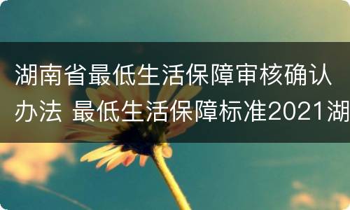 湖南省最低生活保障审核确认办法 最低生活保障标准2021湖南