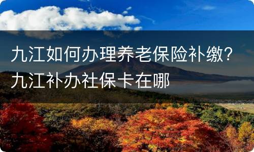 九江如何办理养老保险补缴? 九江补办社保卡在哪