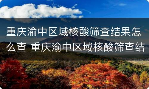 重庆渝中区域核酸筛查结果怎么查 重庆渝中区域核酸筛查结果怎么查不到
