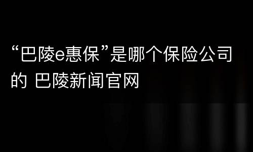 “巴陵e惠保”是哪个保险公司的 巴陵新闻官网