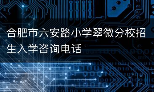 合肥市六安路小学翠微分校招生入学咨询电话