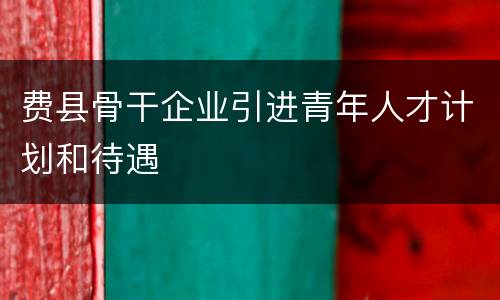 费县骨干企业引进青年人才计划和待遇