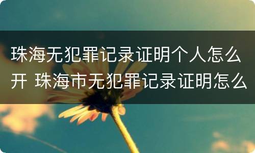 珠海无犯罪记录证明个人怎么开 珠海市无犯罪记录证明怎么开