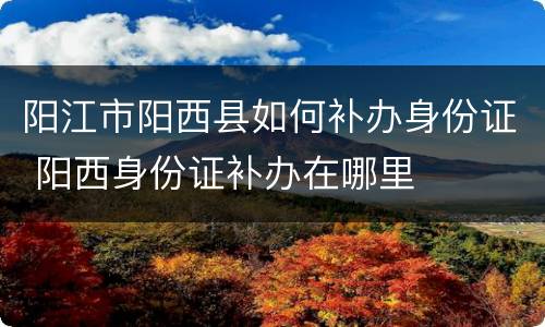 阳江市阳西县如何补办身份证 阳西身份证补办在哪里