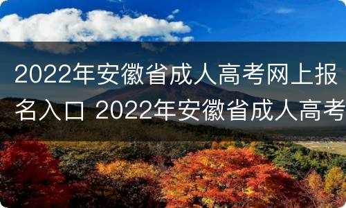 2022年安徽省成人高考网上报名入口 2022年安徽省成人高考网上报名入口官网
