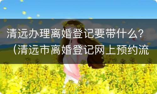 清远办理离婚登记要带什么？（清远市离婚登记网上预约流程）