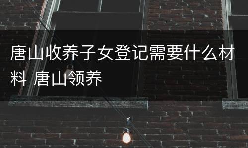唐山收养子女登记需要什么材料 唐山领养
