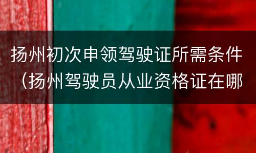 扬州初次申领驾驶证所需条件（扬州驾驶员从业资格证在哪里办）