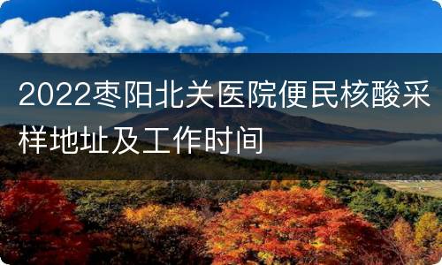 2022枣阳北关医院便民核酸采样地址及工作时间