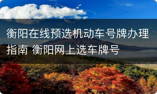 衡阳在线预选机动车号牌办理指南 衡阳网上选车牌号