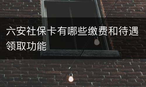 六安社保卡有哪些缴费和待遇领取功能