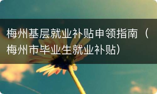 梅州基层就业补贴申领指南（梅州市毕业生就业补贴）