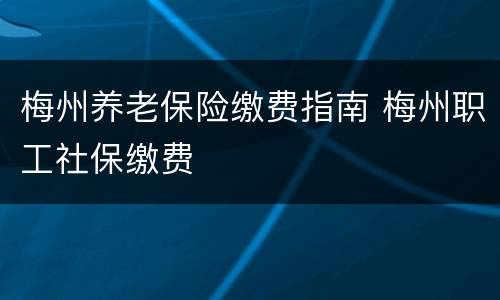梅州养老保险缴费指南 梅州职工社保缴费