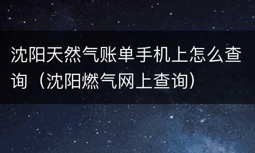 沈阳天然气账单手机上怎么查询（沈阳燃气网上查询）