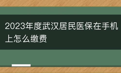 2023年度武汉居民医保在手机上怎么缴费