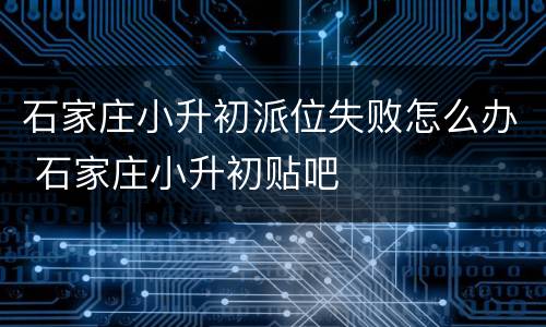 石家庄小升初派位失败怎么办 石家庄小升初贴吧