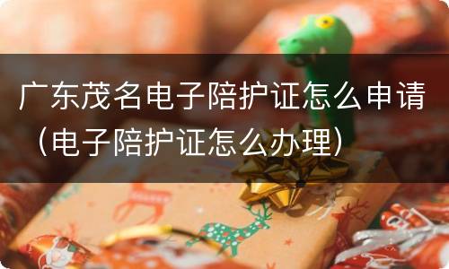 广东茂名电子陪护证怎么申请（电子陪护证怎么办理）