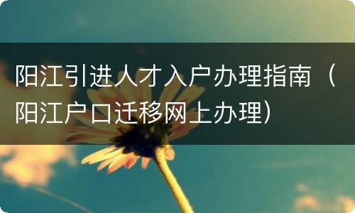 阳江引进人才入户办理指南（阳江户口迁移网上办理）