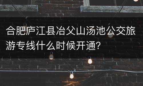 合肥庐江县冶父山汤池公交旅游专线什么时候开通？