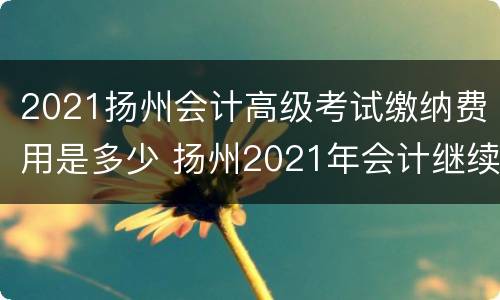 2021扬州会计高级考试缴纳费用是多少 扬州2021年会计继续教育