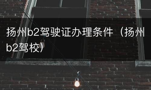 扬州b2驾驶证办理条件（扬州b2驾校）